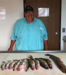 Walleyes caught on Ram Lure Tackle